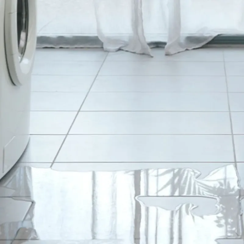 Appliance Leak Cleanup in Osceola County, IA