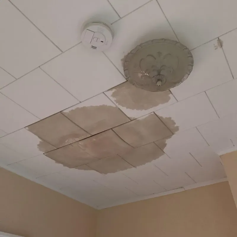 Ceiling Water Damage Repair in Osceola County, IA