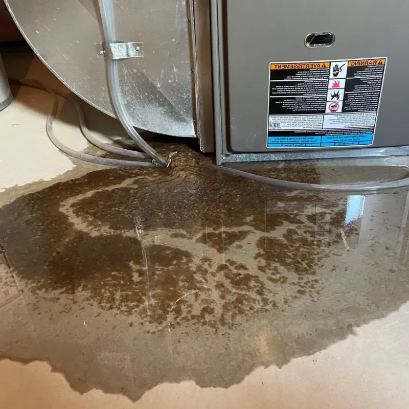Pipe Burst and Leak Restoration in Osceola County, IA